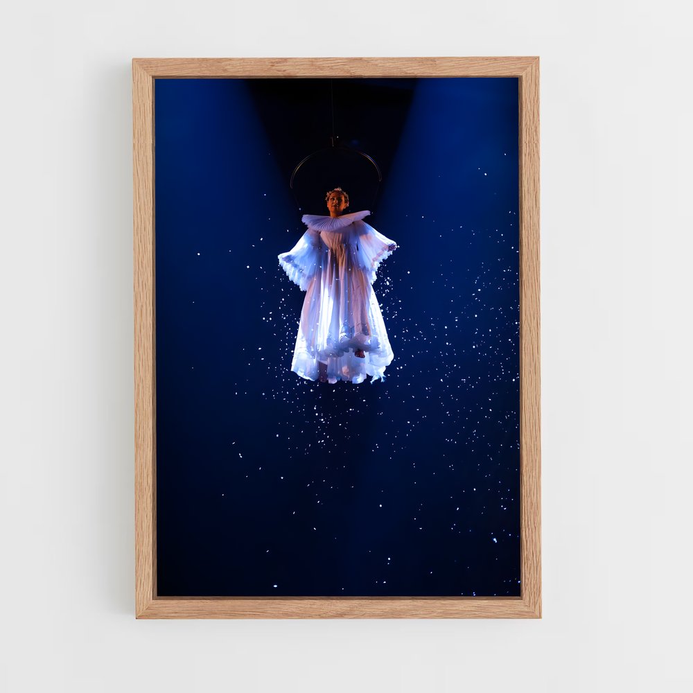 Poster Cirque soleil émerveille (vue 4)